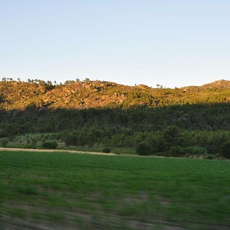 Carapito Pinheirinhos - Quinta De Sao Caetanoヴィラ エクステリア 写真