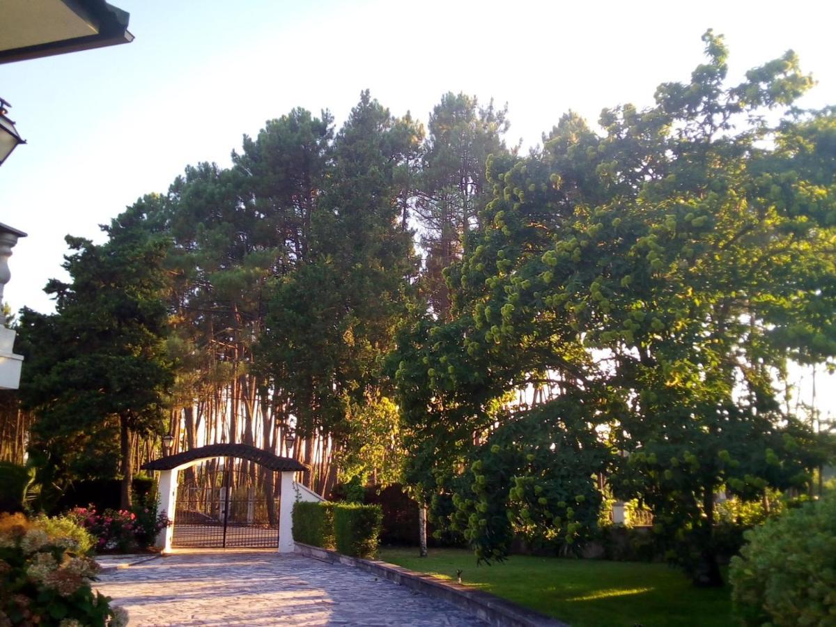 Carapito Pinheirinhos - Quinta De Sao Caetanoヴィラ エクステリア 写真