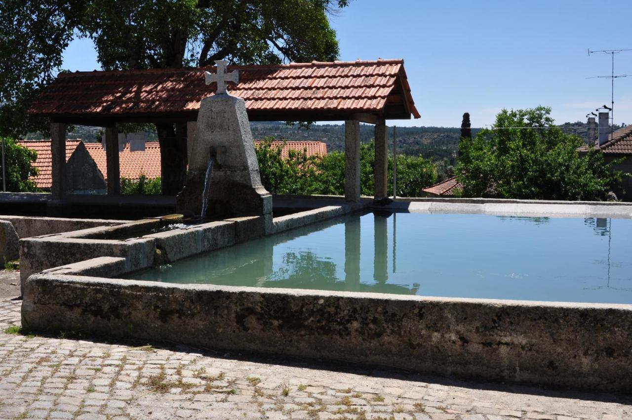 Carapito Pinheirinhos - Quinta De Sao Caetanoヴィラ エクステリア 写真