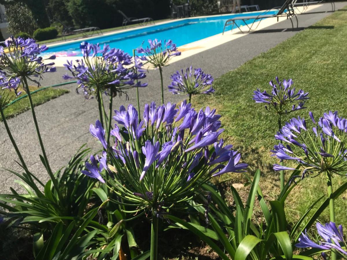 Carapito Pinheirinhos - Quinta De Sao Caetanoヴィラ エクステリア 写真