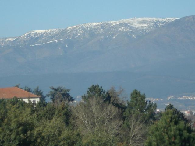 Carapito Pinheirinhos - Quinta De Sao Caetanoヴィラ エクステリア 写真