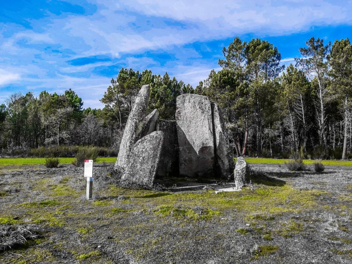 Carapito Pinheirinhos - Quinta De Sao Caetanoヴィラ エクステリア 写真