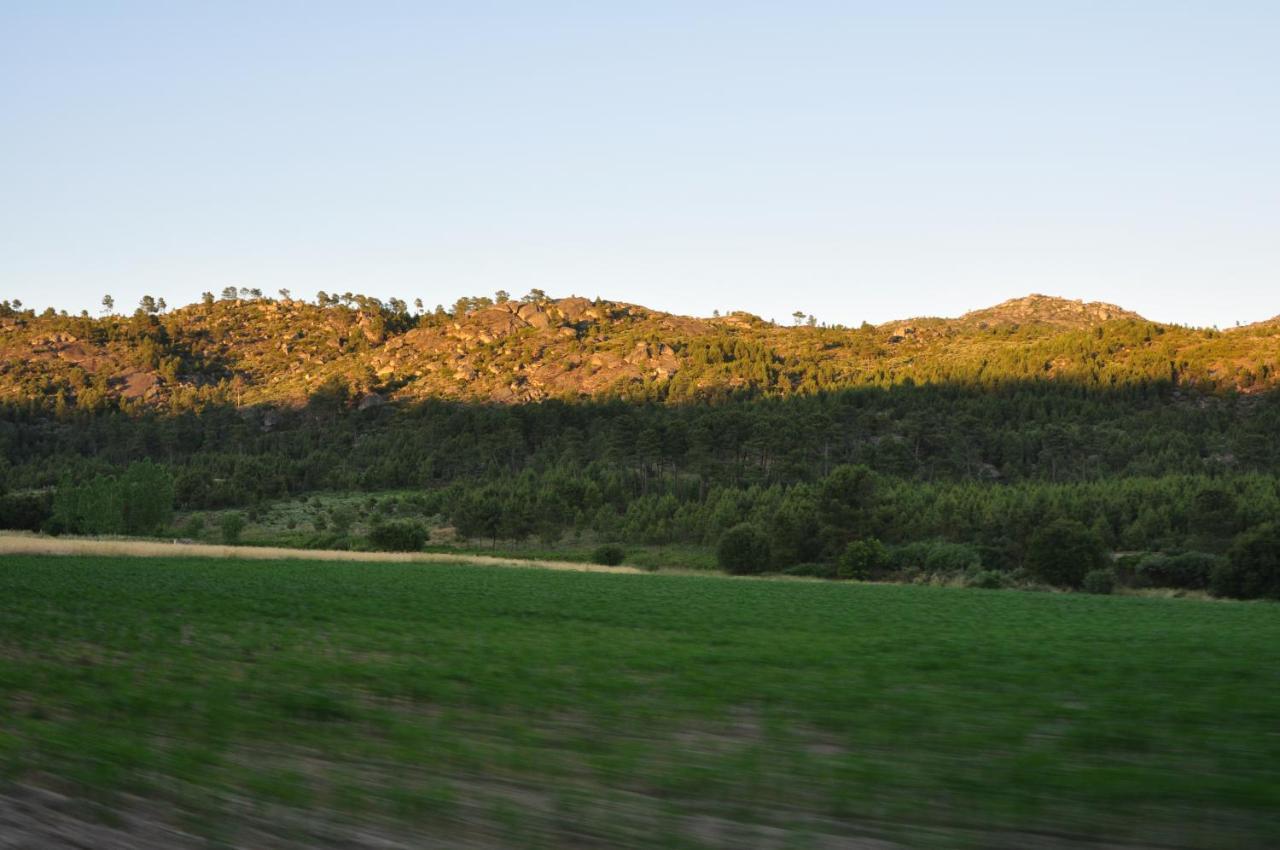 Carapito Pinheirinhos - Quinta De Sao Caetanoヴィラ エクステリア 写真