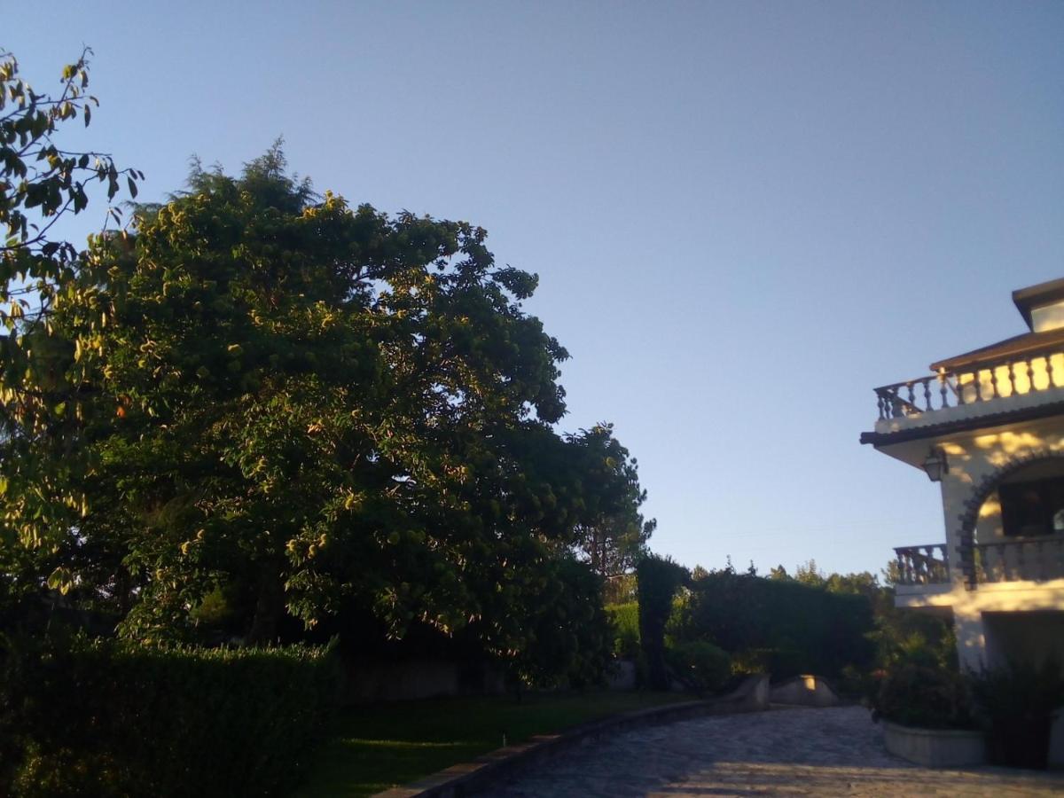 Carapito Pinheirinhos - Quinta De Sao Caetanoヴィラ エクステリア 写真